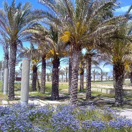 Appartement La Burbuja